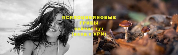 МДПВ Богородицк